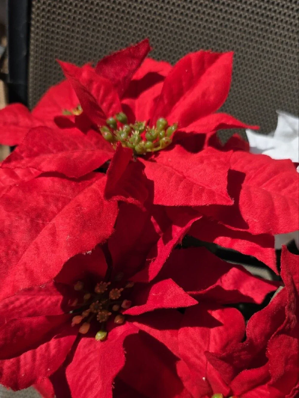 Source Unknown Red and White Poinsettia Faux Floral Arrangement